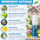 Dermoscent Essential Mousse for Cats – Spumă Dermatologică fără Clătire pentru Pisici – 150 ml